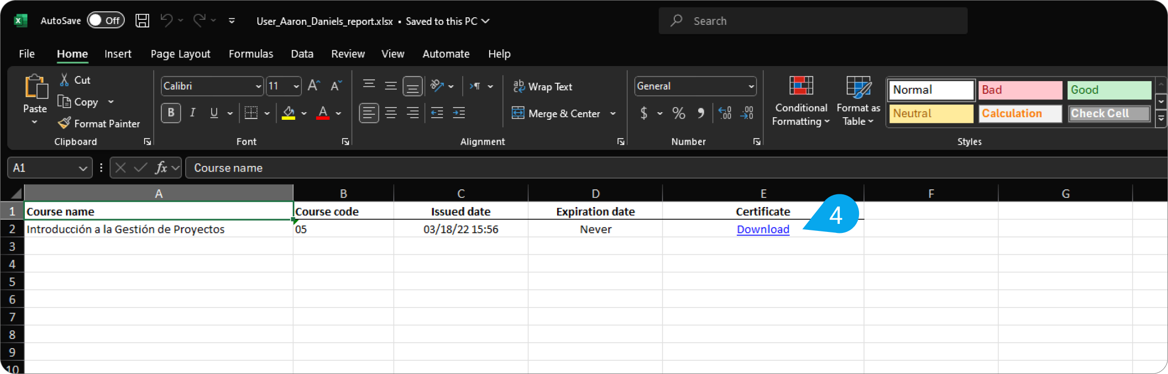 user reports excel 4.png