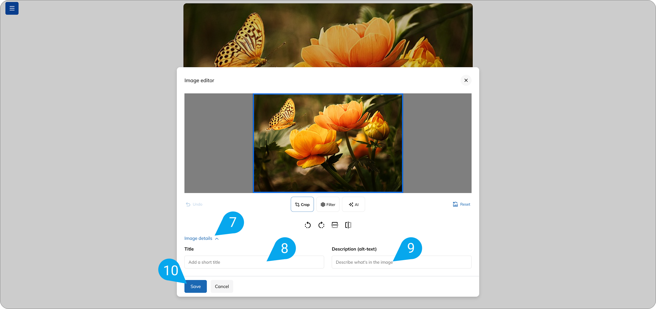 How to add images in TalentCraft4.png
