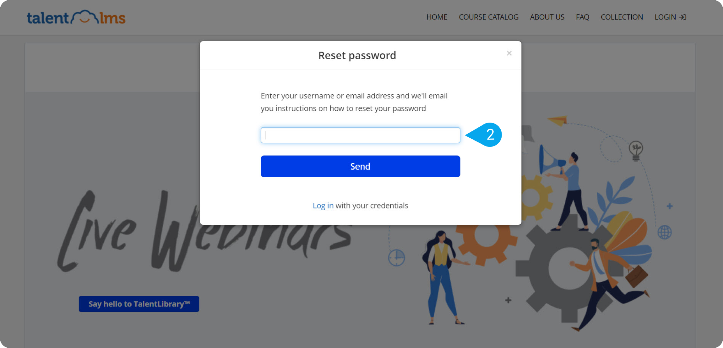 Reset_password_custom.png